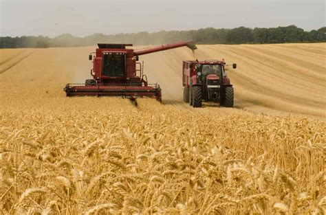 Wheat Farming in the USA: By State and Production