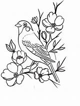 Hand Embroidery Designs Projects Patterns Art  sketch template
