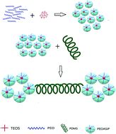 Synthesis and characterization of amphiphilic branched silica derivatives associated with ...