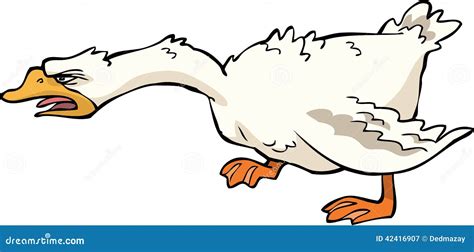 Angry goose stock vector. Illustration of cartoon, white - 42416907