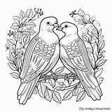 Dove Coloring Pages  Free & Printable sketch template