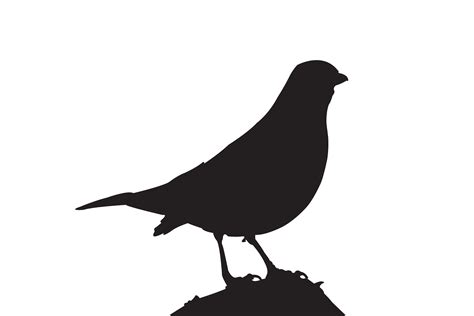 Black Bird Silhouette Graphic by Illustrately · Creative Fabrica