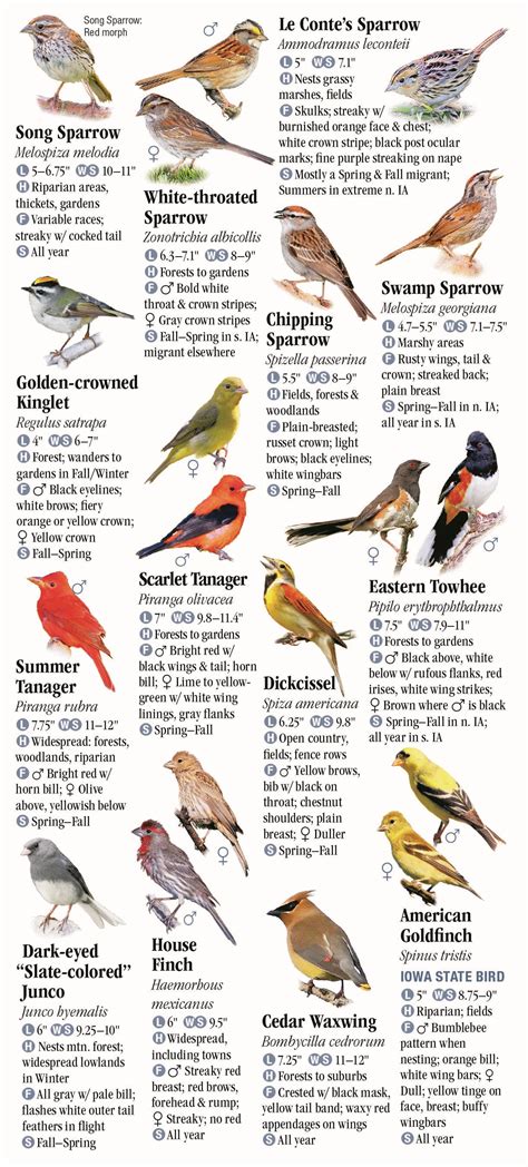 Iowa Birds Identification