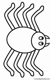 Spider  Coloring Page Insects sketch template