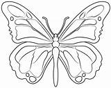 Butterfly Printable Template  Free Papercraft Templates sketch template