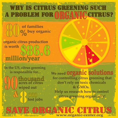 What You Need To Know About Citrus Greening Disease - Ask The Green Genie