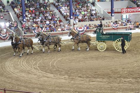 New York State Fair Midway to have 13 new rides | NCPR News