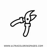 Shears Coloring Page  Ultra Pages sketch template