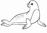 Seal Smiling Coloring Page  Free Printable Pages For Kids sketch template