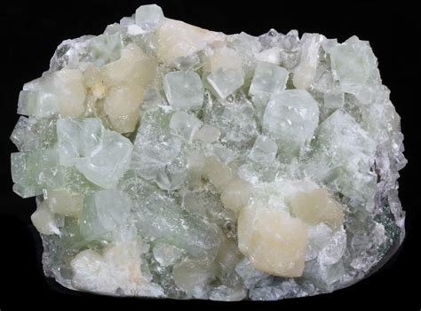 8.2" Stilbite & Apophyllite Crystal Cluster - India (#33923) For Sale - FossilEra.com