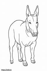 Bull Terrier Friendly coloring Page sketch template