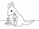 Baby Kangaroo Coloring Pages sketch template