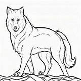 Wolf With Pup Coloring Pages  Home sketch template