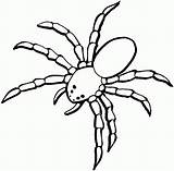 Free Printable Spider Coloring Pages For Kids sketch template