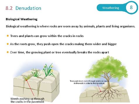 Weathering 8 8 0 Weathering Learning Intentions You