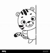 Coloring Page Cute Little Tiger Peeking around corner Book  sketch template