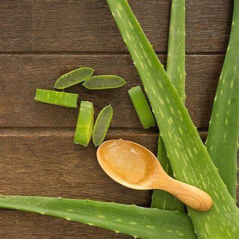 Benefits Of Aloe Vera Gel for Face: How to Uses & Apply