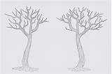 Hand Drawn Winter Bare Tree Sketch Vector Trees Leafless Dead Old  sketch template