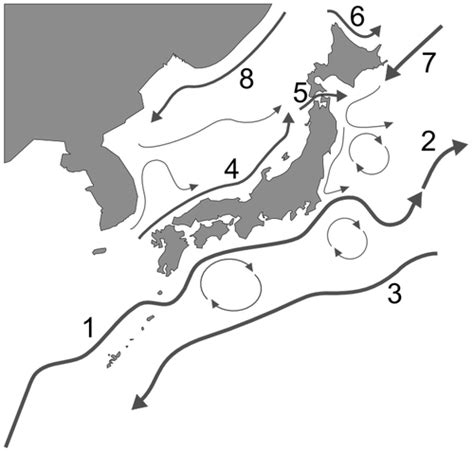 Течения Японского моря — Википедия