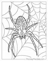 28 Spider Coloring Pages Free PDF Printables sketch template