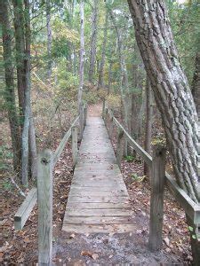 Visit Cedar Run - Cedar Run Wildlife Refuge