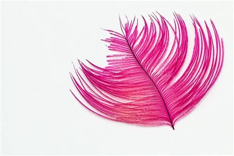 Feather Desktop Wallpaper Ostrich · Free photo on Pixabay