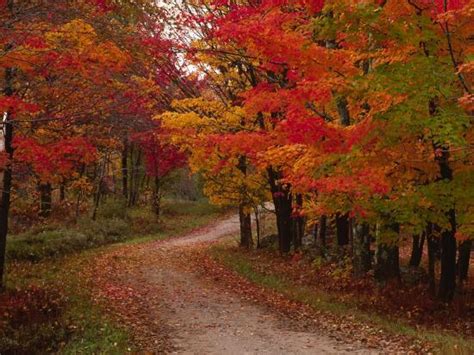 'Country Road in the Fall, Vermont, USA' Photographic Print - Charles Sleicher | Art.com