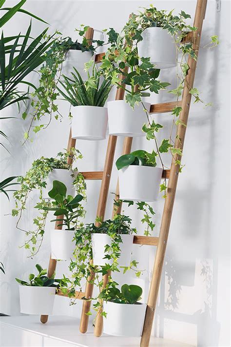 20 Modern Plant Shelf Ideas For Small Space | HomeMydesign