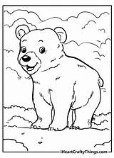 Bear Coloring Printable sketch template