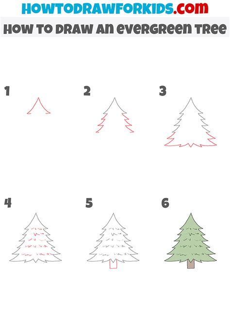 How To Draw Evergreens