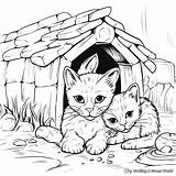 Animal Shelter Coloring Pages  Free & Printable sketch template
