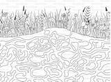 Giant Coloring Page XXL Anthill Poster  Etsy sketch template