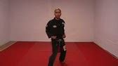 Kenpo Karate - More Stances, Stance Changes and Strikes Part #1, Cat Stance - YouTube