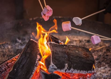 The Best S'mores Gift Guide for Summer, Family, and Campfire Fun All Year Long