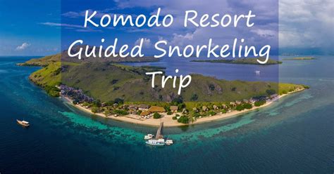 Complete Oahu Snorkeling Guide - Recommended Spots And Tours