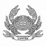 Cancer Zodiac Coloring Pages  Free Printable For Kids sketch template