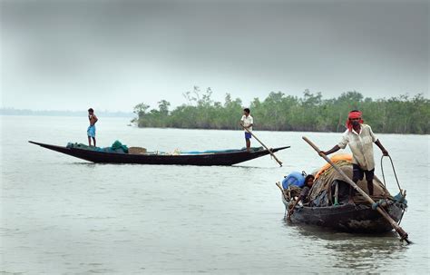 Explore hidden mysteries of nature with top Cruise Rides of India ...