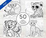 Baby Cheetah Coloring Pages For Kids sketch template