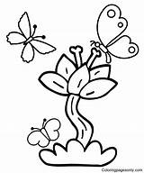 Butterflies With Flowers Coloring Pages  Butterfly sketch template