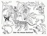 Free Printable Rainforest Coloring Pages  Home sketch template