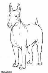 Bull Terrier Full Body coloring Page sketch template