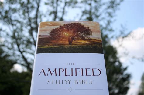 Amplified Study Bible Review - Bible Buying Guide