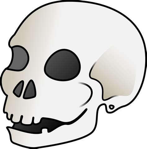 Clipart - Skull