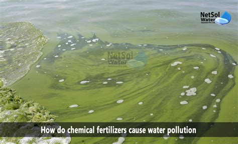 How do chemical fertilizers cause water pollution