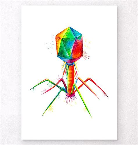 Bacteriophage structure art print - Codex Anatomicus