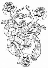 Snake Coloring Pages Sea Print Coral Colouring Zoo Serpent Snakes  sketch template