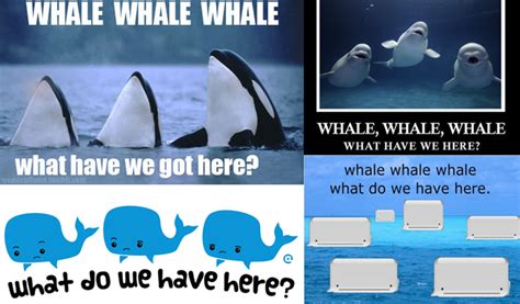 Randomly Funny - Whale, Whale, Whale | YAYOMG!