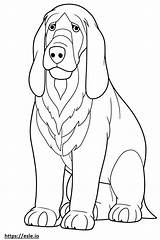 Bloodhound Coloring Clipartmag Drawing Pages Sketch Page sketch template
