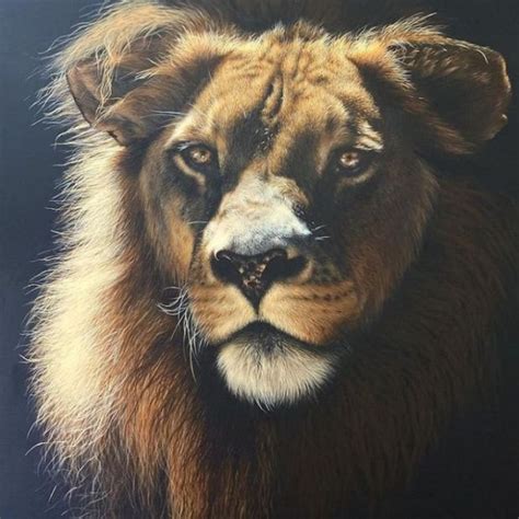 An Artist Makes Remarkable Hyper-Realistic Wildlife Paintings | Funotic.com