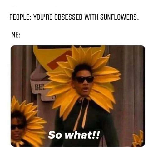 Beautiful sunflower quotes, sayings, puns, and memes to make your day - Legit.ng